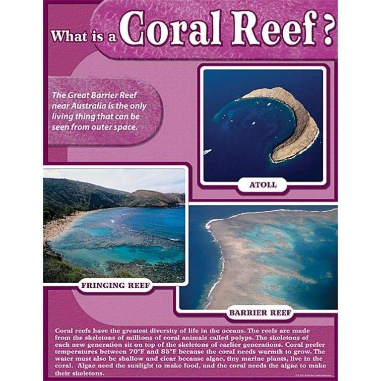 What Is A Coral Reef? Chart – The Teacher's Trunk