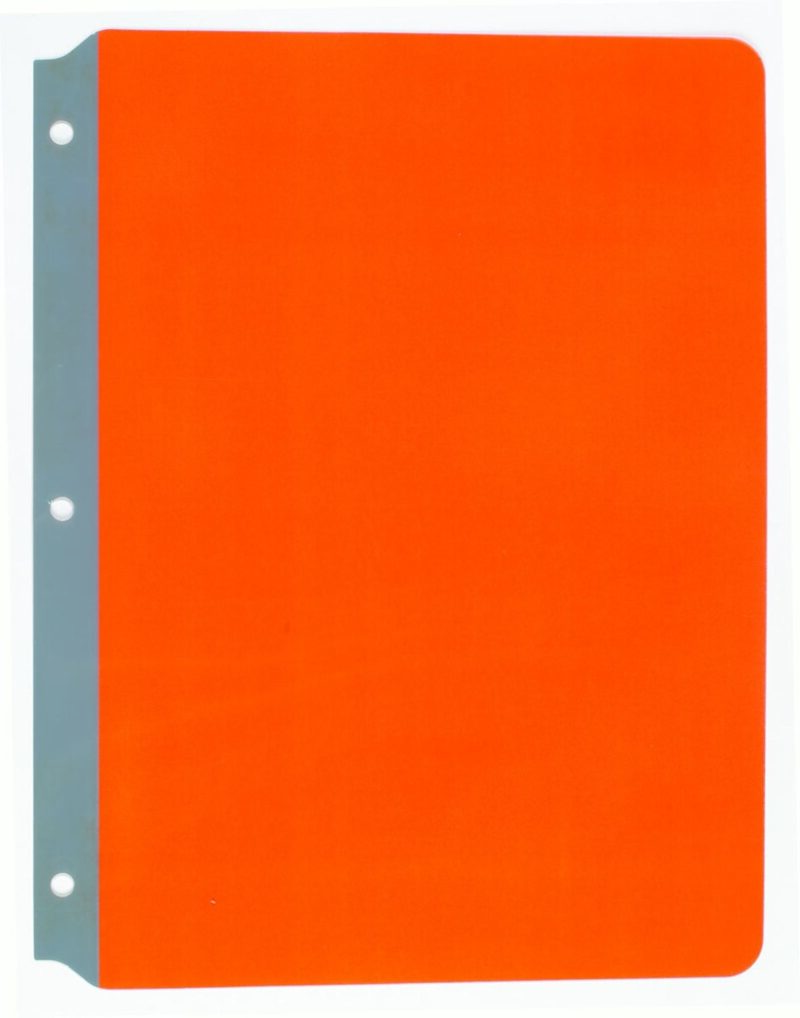 Full Page Reading Guide Orange