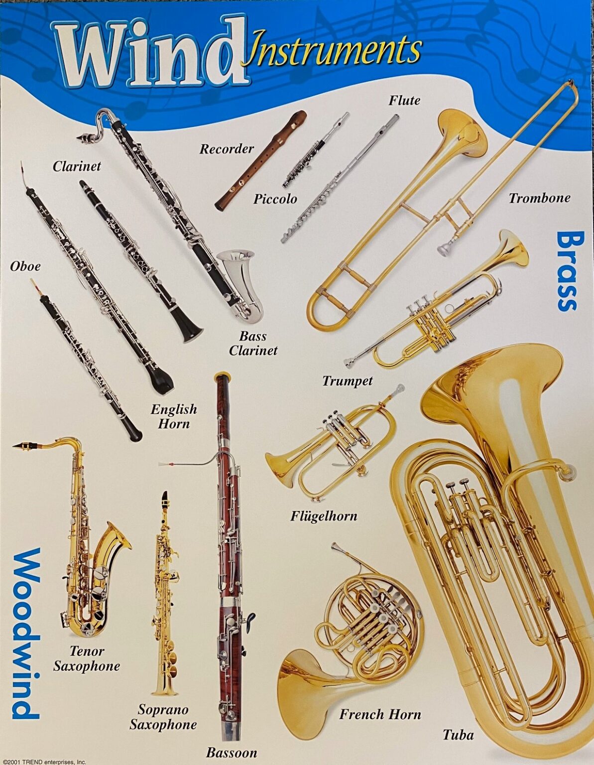 wind-instruments-the-teacher-s-trunk